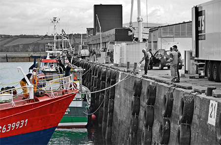 Longshore and Harbor